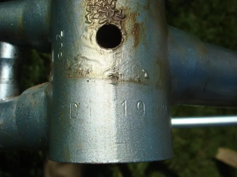DSC00931.webp