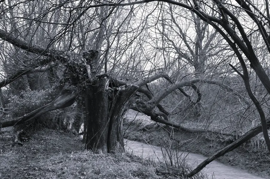 Wellingborough stream B&W 1.webp