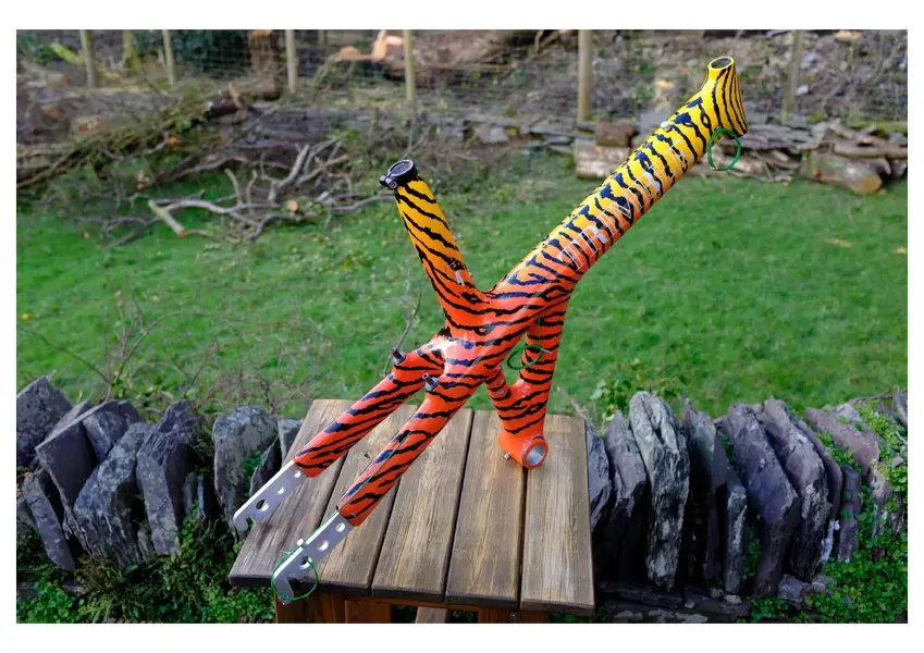 DSCF2288-compressed-images-1.webp