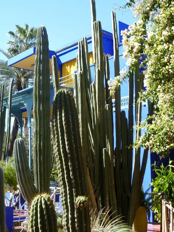 Coco Chanels Marrakech 4 .webp