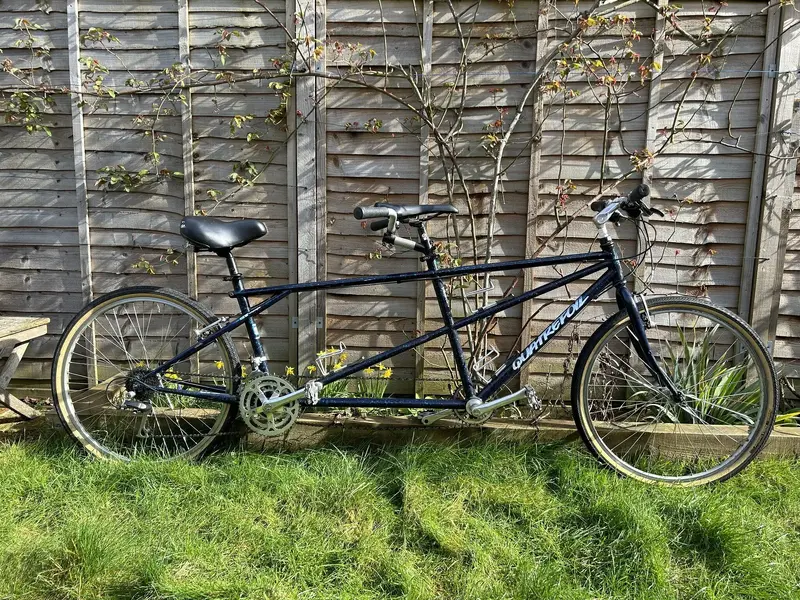 Gt quatrefoil tandem new arrivals