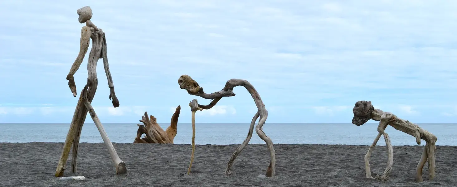 NZ driftwood statues 1.webp
