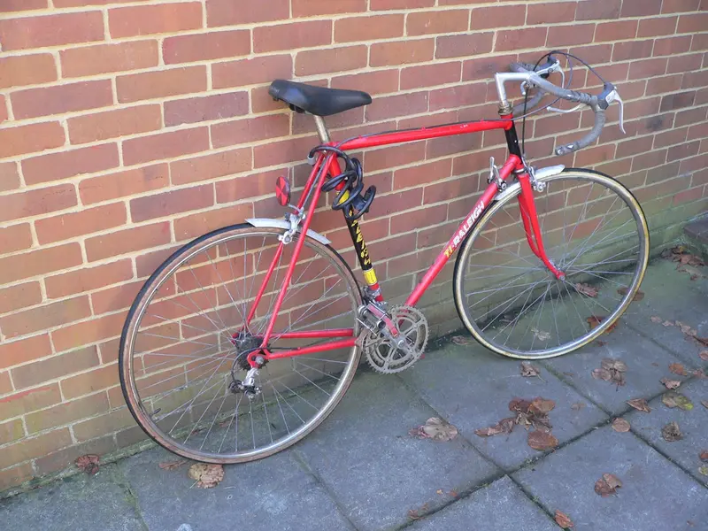 RALEIGH EUROPA (1).webp