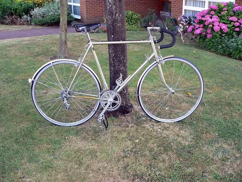 RALEIGH RECORD ACE (1).webp