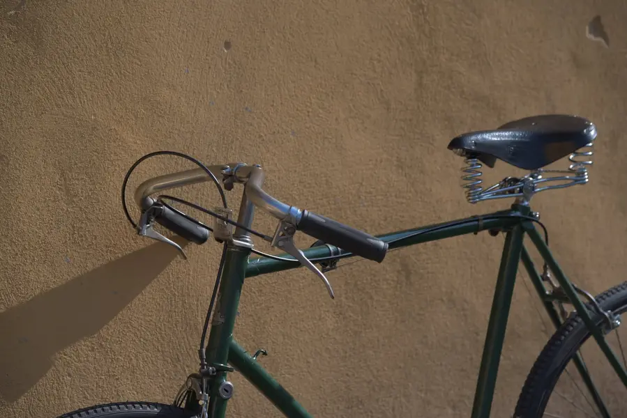 raleigh path racer6.jpg