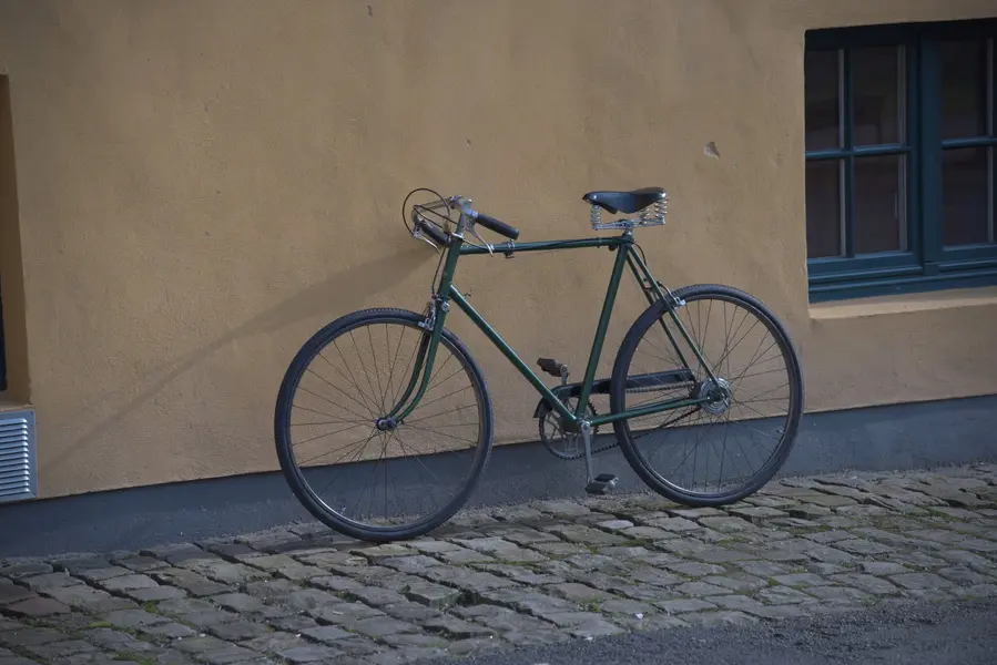 raleigh path racer11.webp