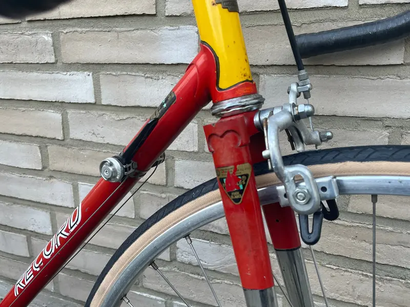 raleigh record1.webp