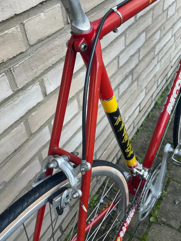 raleigh record3.webp