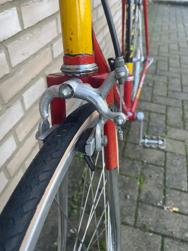 raleigh record12.webp