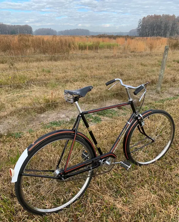 RALEIGH DL1 TOURIST 1975 1.webp