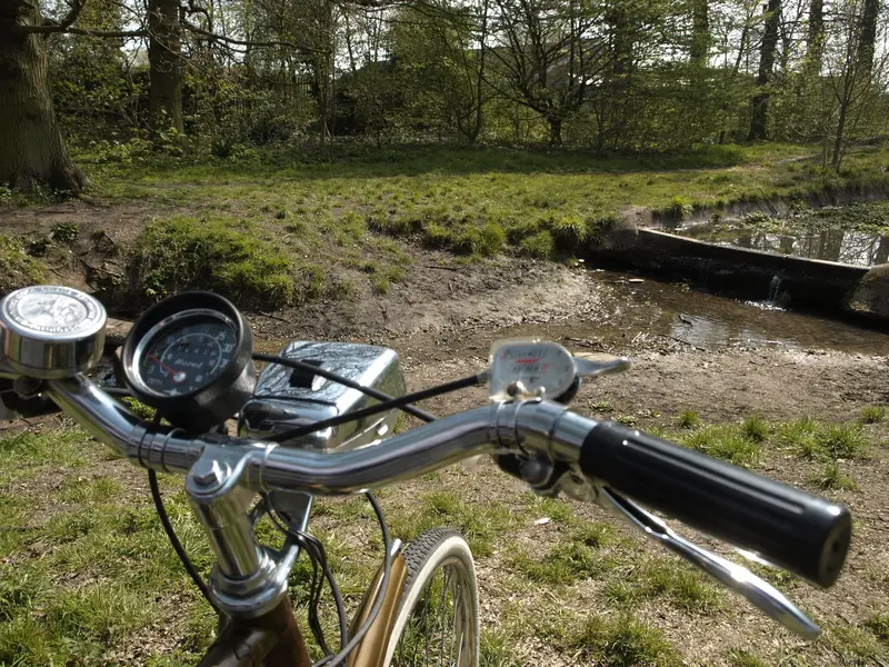 Raleigh Esquire3.webp