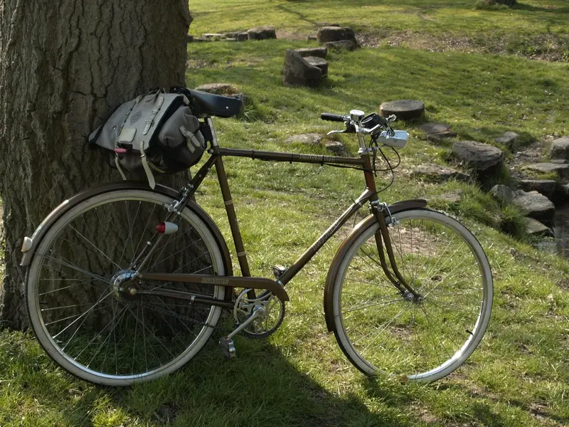 Raleigh Esquire4.webp