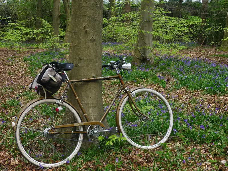 Raleigh Esquire5.webp