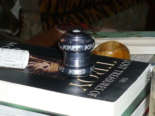 P1010579.webp