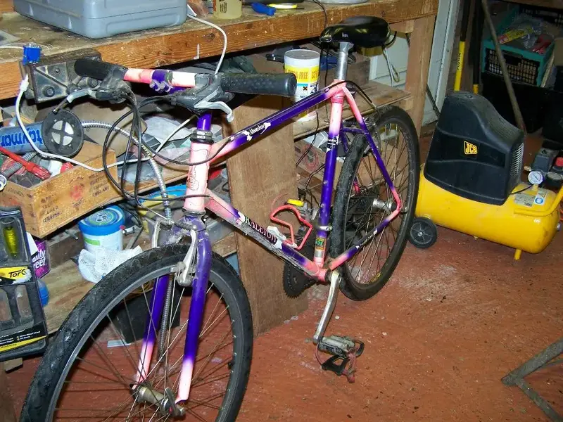 Picture 010 (Large) (1).webp