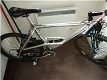 alpinestar.webp