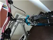 alpinestar 04.webp