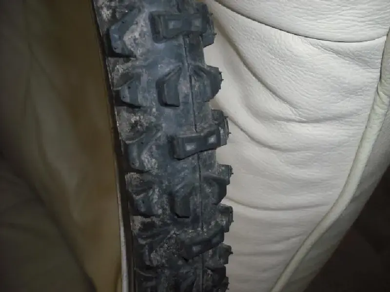 06102010 006 (Medium).webp