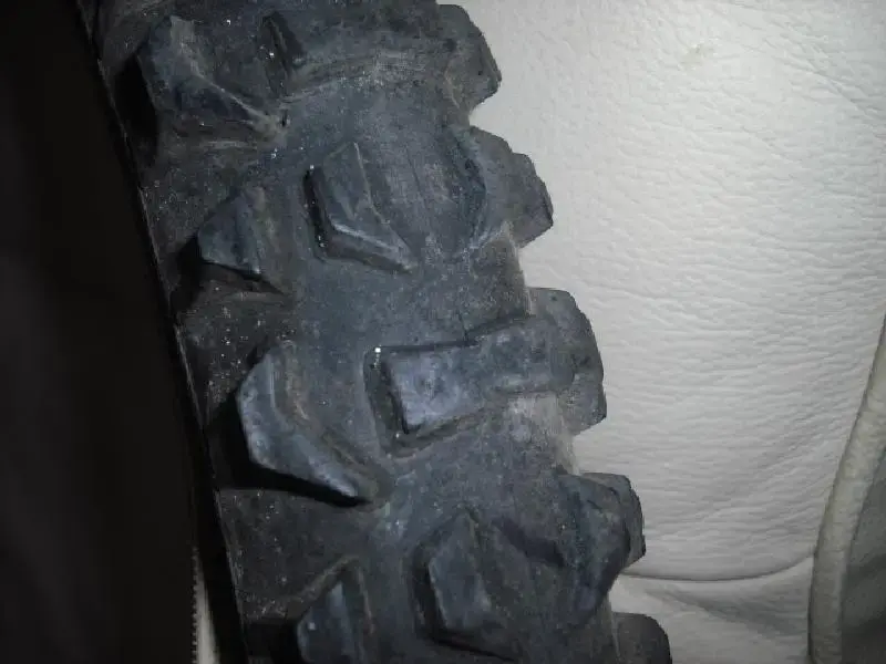 06102010 008 (Medium).webp