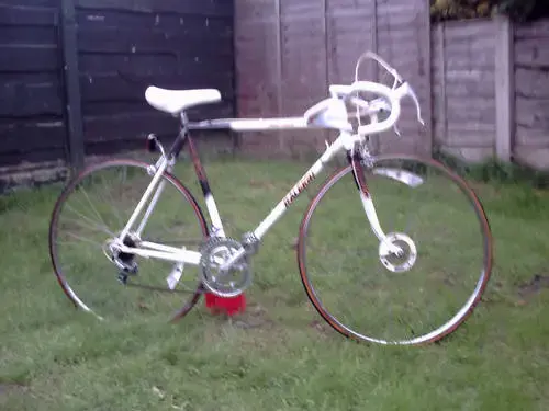 Raleigh Sensor 1.webp