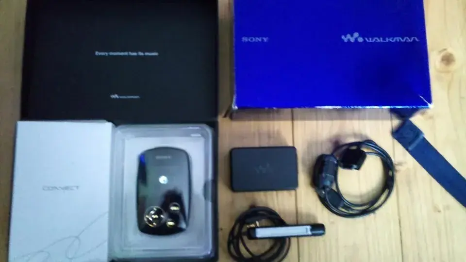 sony nwa1000.webp