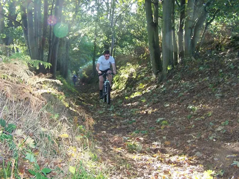 Picture 004 (Large).webp