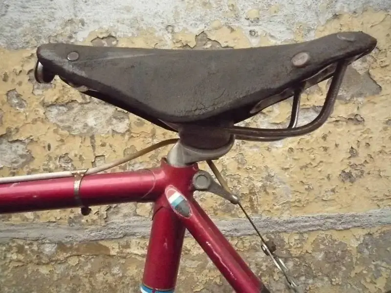saddle.webp