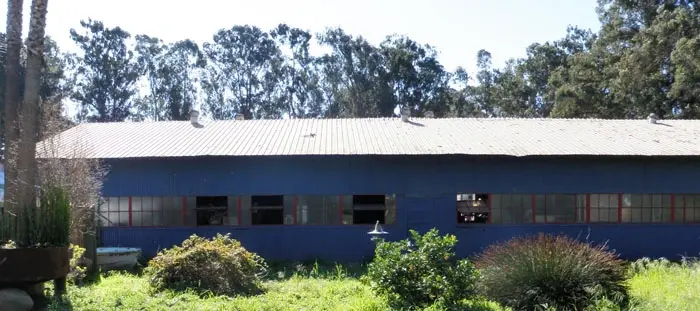 shop1.jpg