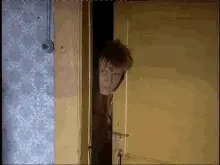 peek-whats-here.webp