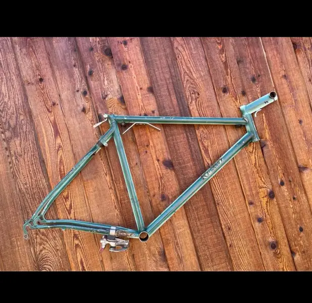 moots6.webp