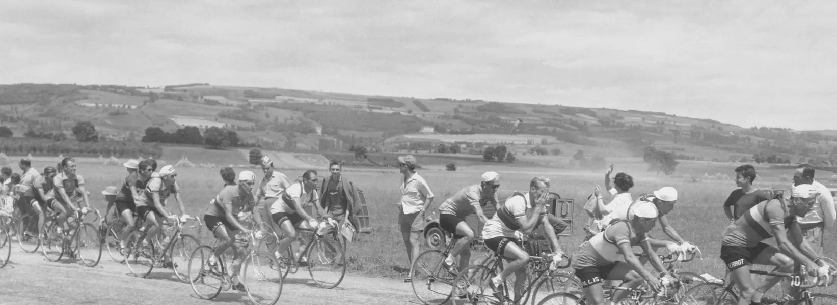 tdf 1954.webp