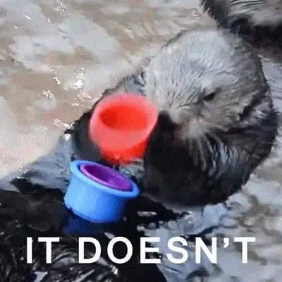 dont fit.gif