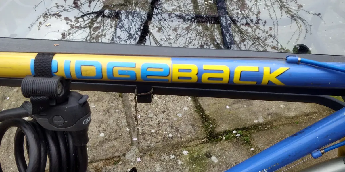 Ridgeback 2.webp