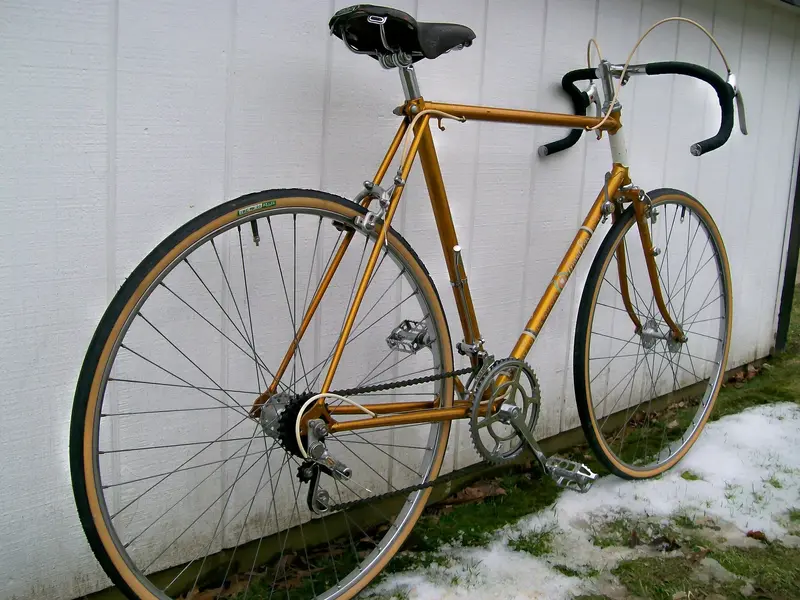 raleigh lgp1.webp