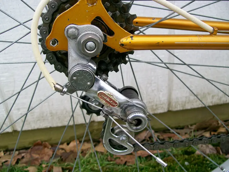raleigh lgp2.webp