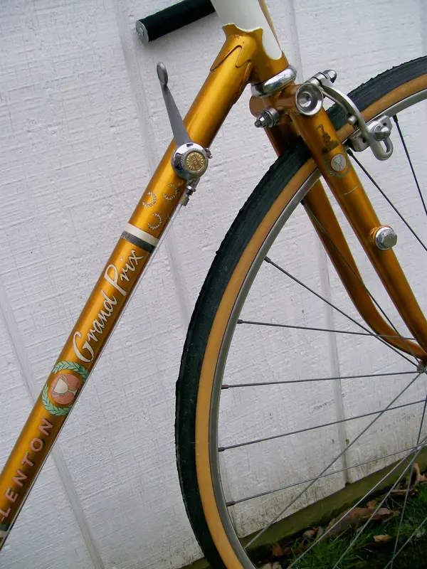 raleigh lgp3.webp