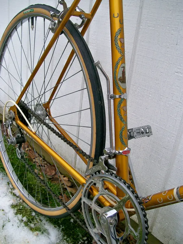 raleigh lgp4.webp