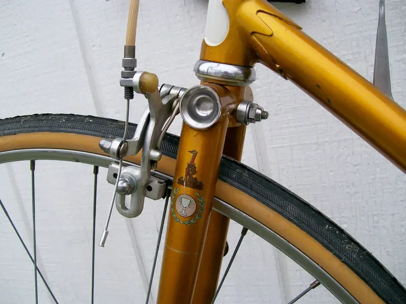 raleigh lgp5.webp