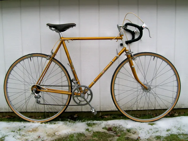 raleigh lgp6.webp