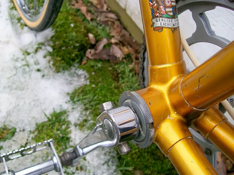 raleigh lgp7.webp