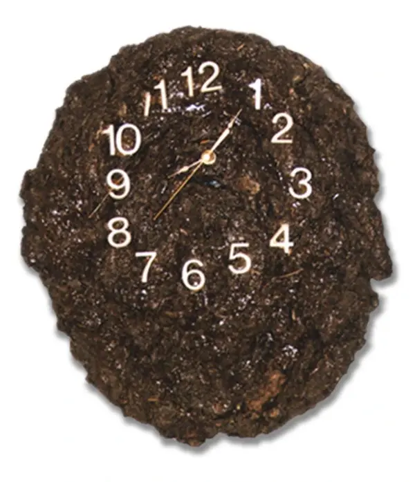 Stompin_Tom_MUSEUM_Cowdung_Clock_001.webp