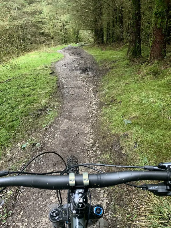 Bikes and rides.-1.webp