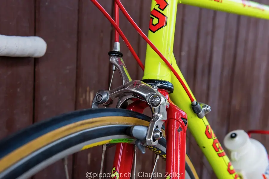 _DSC5530.webp