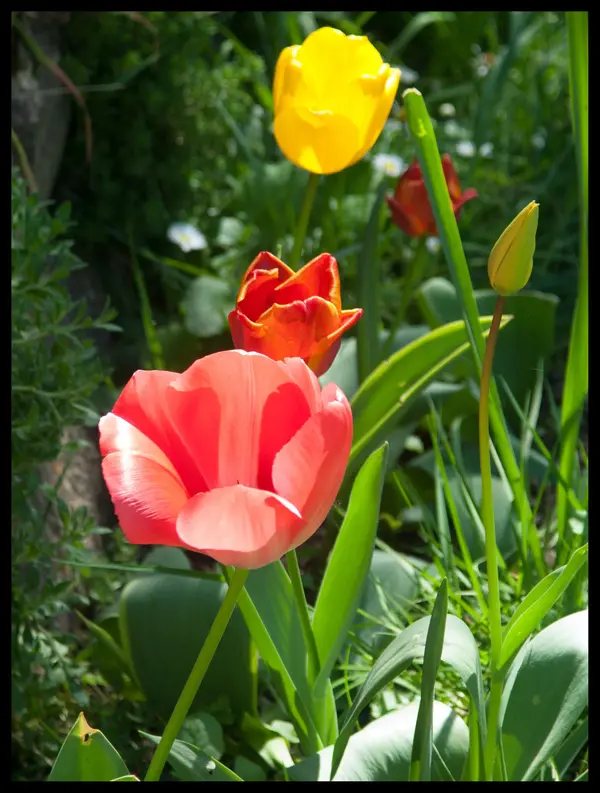 PICT0009.jpg