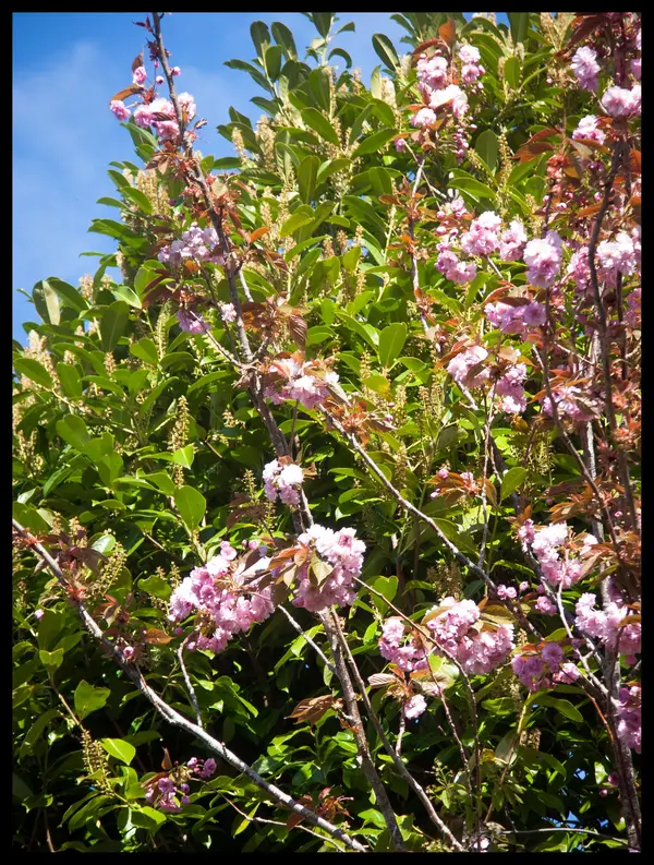 PICT0012.jpg