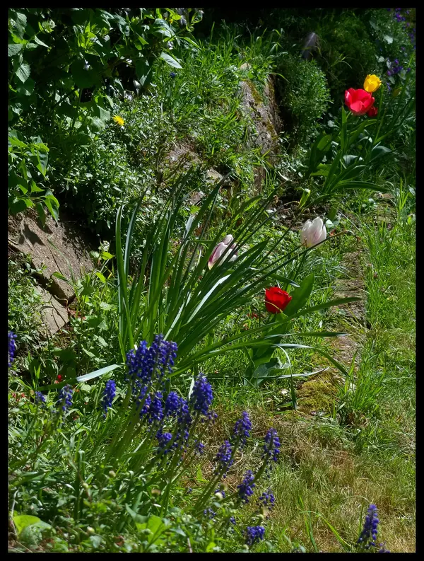 110_5976.webp