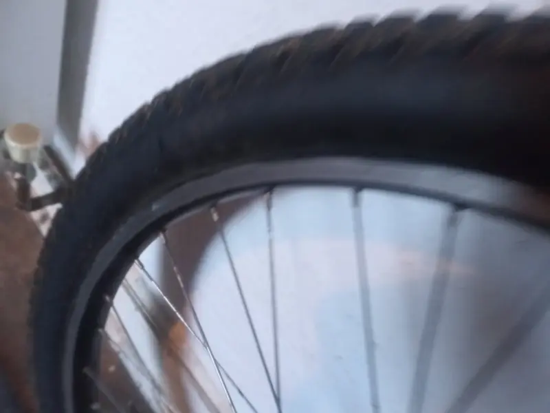 17126842614231572048192131863097.webp