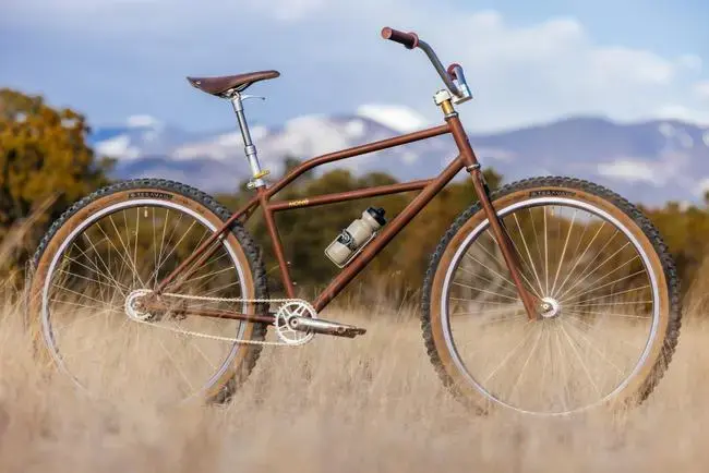 Mone-Bikes-SB2-Coaster-Cruiser-Review-2-1.webp