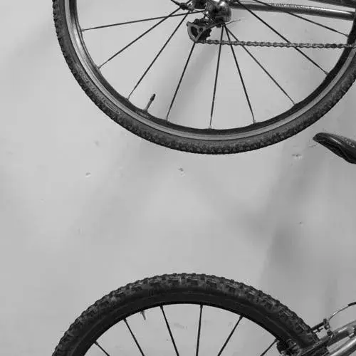 wheelM.webp
