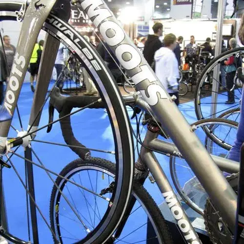 Moots.webp